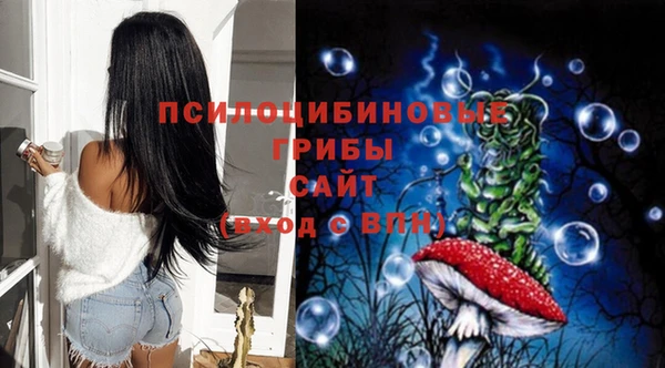 прущий лед Осташков